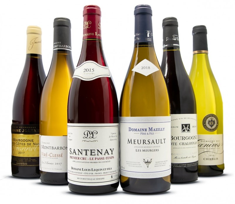 Collection de bouteilles de vins de Bourgogne – sélection élégante de crus rouges et blancs issus du terroir bourguignon, symboles d’artisanat viticole et de raffinement français.